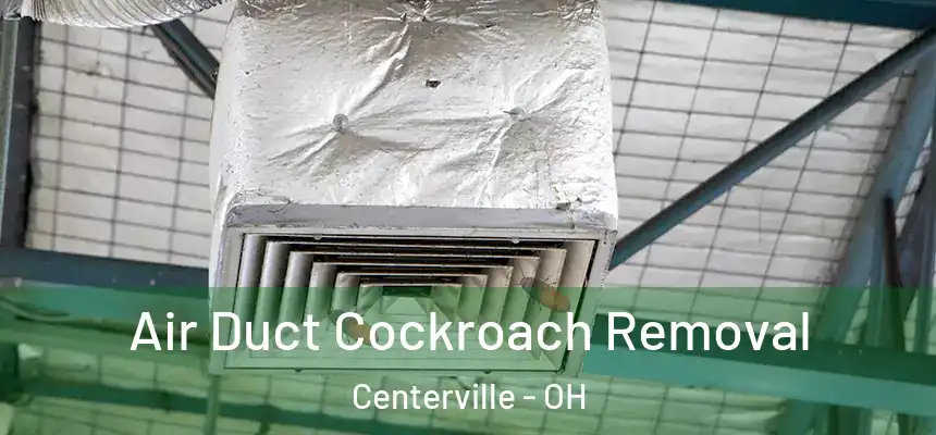 Air Duct Cockroach Removal Centerville - OH