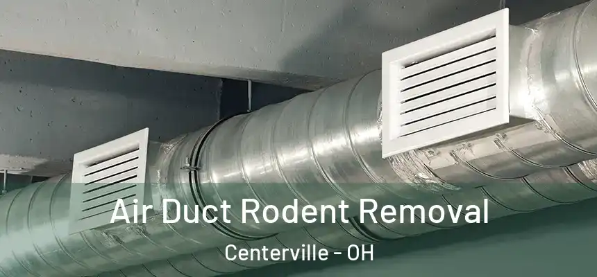 Air Duct Rodent Removal Centerville - OH