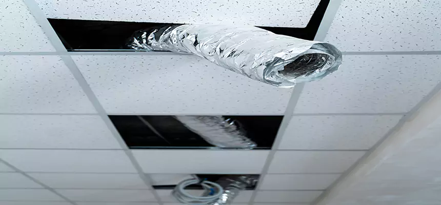 Our Air Duct Pet Hair Removal Services in Centerville, OH