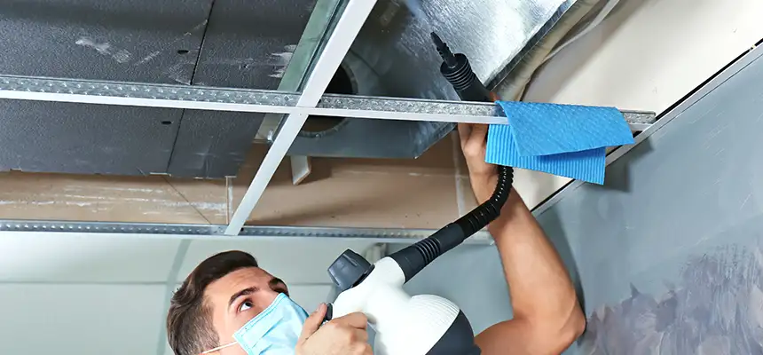 Our Air Duct Rodent Removal Services in Centerville, OH