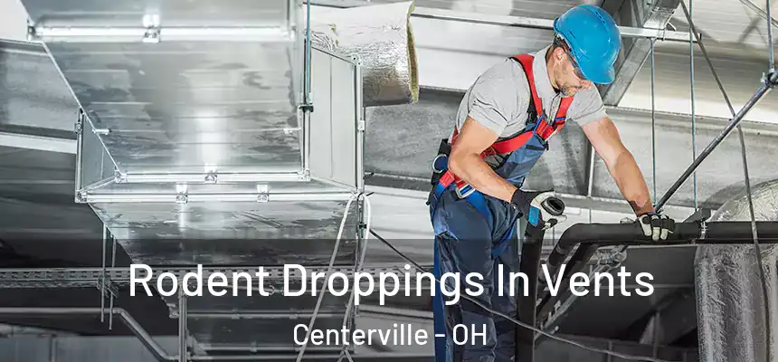  Rodent Droppings In Vents Centerville - OH
