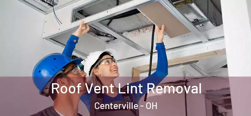  Roof Vent Lint Removal Centerville - OH