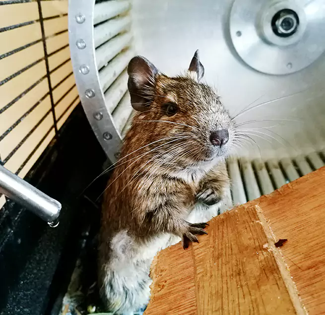 Why Homeowners & Businesses Trust Us Centerville, OH